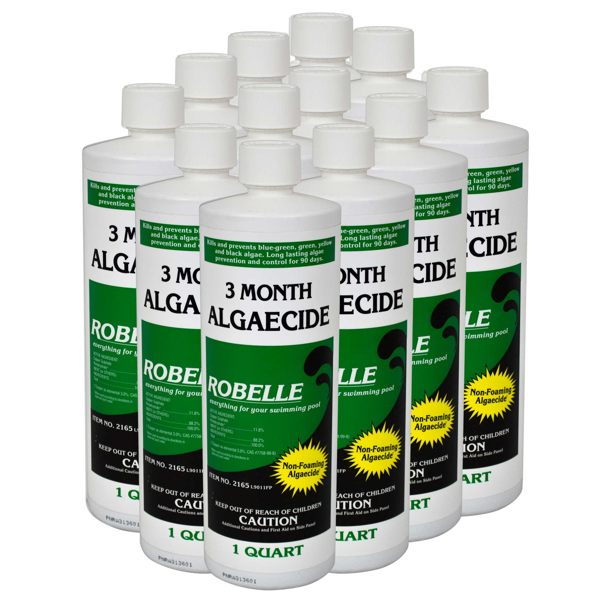 3 Month Algaecide 1 Quart Pool Algae Control Splash Super Center