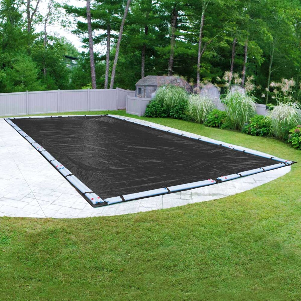 My Image 97