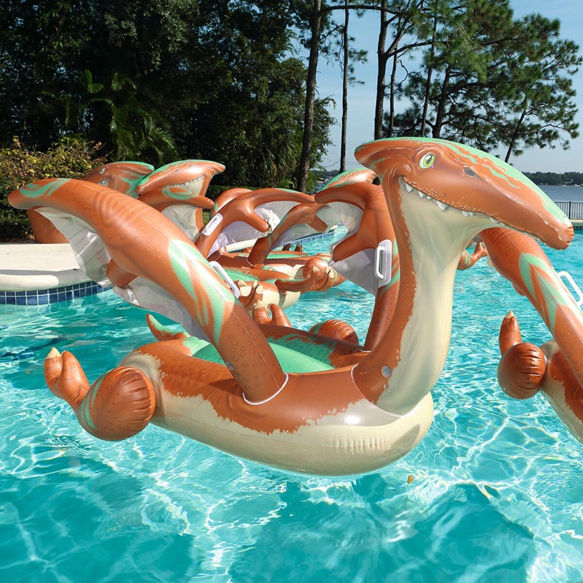 animal ride ons