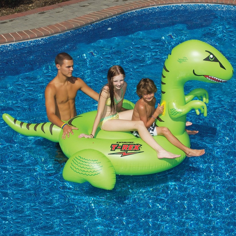 pool float with arms